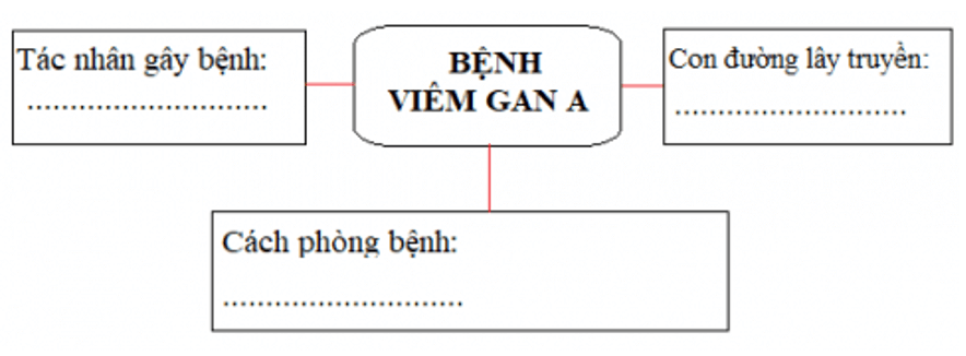 Khoa học 5 Bài 8: Phòng bệnh viêm gan a | Hay nhất Giải Khoa học lớp 5 VNEN