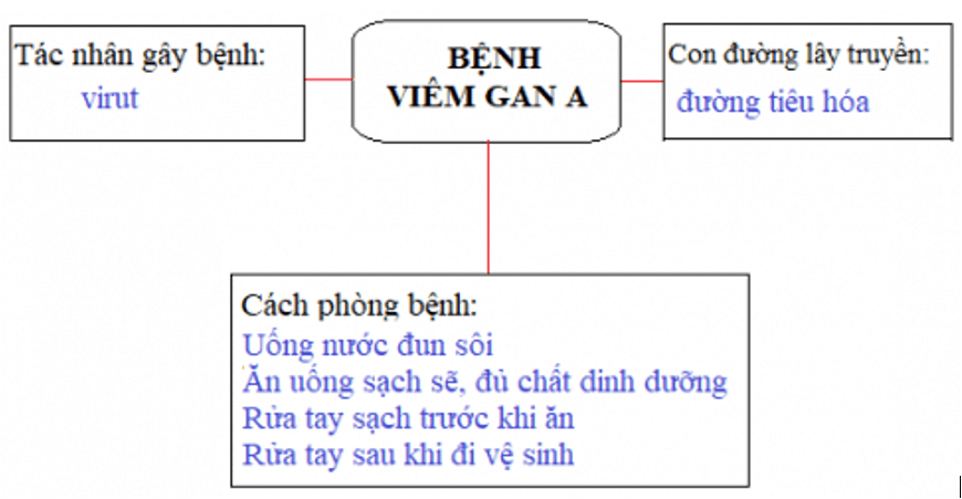 Khoa học 5 Bài 8: Phòng bệnh viêm gan a | Hay nhất Giải Khoa học lớp 5 VNEN