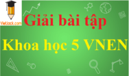 Giải Khoa học 5 VNEN | Giải bài tập Khoa học 5 VNEN