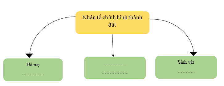 Khoa học xã hội 6 VNEN Bài 20: Đất và sinh vật trên trái đất | Hay nhất Giải bài tập Khoa học xã hội 6 VNEN