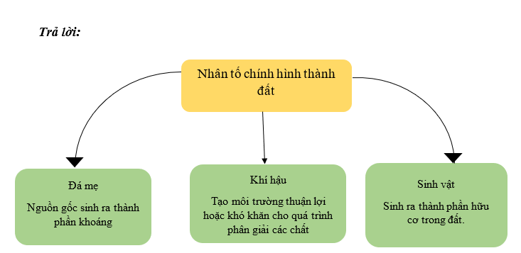 Khoa học xã hội 6 VNEN Bài 20: Đất và sinh vật trên trái đất | Hay nhất Giải bài tập Khoa học xã hội 6 VNEN