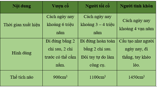 Khoa học xã hội 6 VNEN Bài 3: Xã hội nguyên thủy | Hay nhất Giải bài tập Khoa học xã hội 6 VNEN