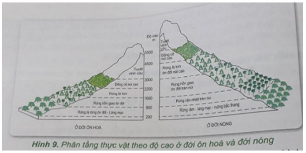 Khoa học xã hội 7 Bài 6: Môi trường hoang mạc, vùng núi, biển và đại dương | Hay nhất Giải bài tập Khoa học xã hội 7 VNEN