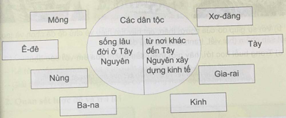 Lịch Sử và Địa Lí 4 Bài 3: Tây Nguyên | Hay nhất Giải bài tập Lịch Sử và Địa Lí 4 VNEN