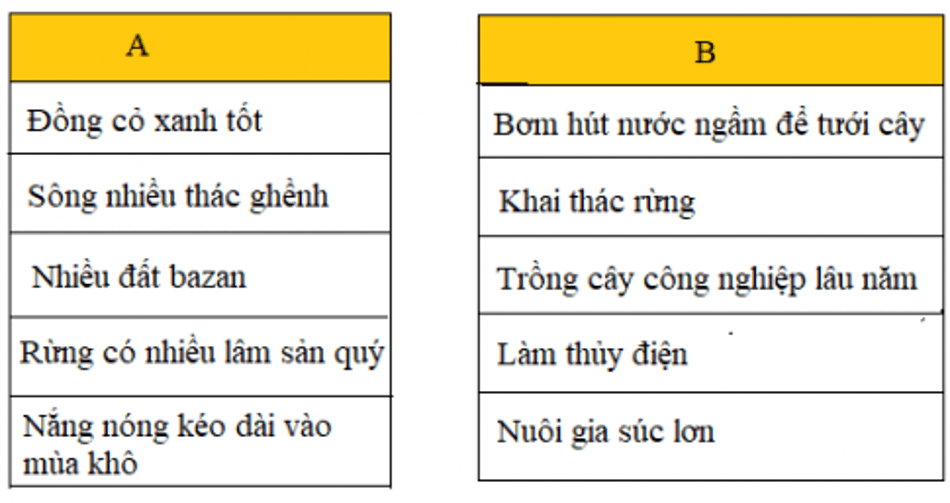 Lịch Sử và Địa Lí 4 Bài 4: Hoạt động sản xuất của người dân ở Tây Nguyên | Hay nhất Giải bài tập Lịch Sử và Địa Lí 4 VNEN