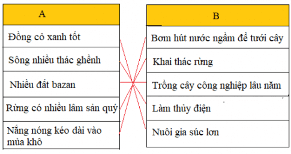 Lịch Sử và Địa Lí 4 Bài 4: Hoạt động sản xuất của người dân ở Tây Nguyên | Hay nhất Giải bài tập Lịch Sử và Địa Lí 4 VNEN