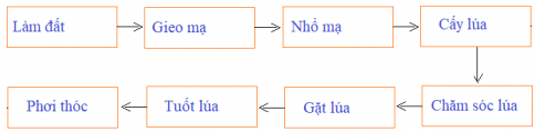 Lịch Sử và Địa Lí 4 Bài 6: Hoạt động sản xuất của người dân ở đồng bằng Bắc Bộ | Hay nhất Giải bài tập Lịch Sử và Địa Lí 4 VNEN