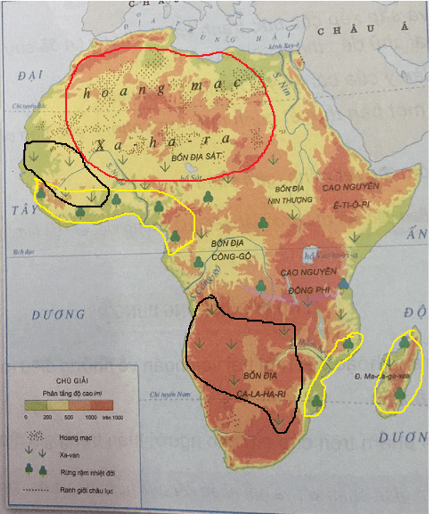 Lịch Sử và Địa Lí lớp 5 Bài 12: Châu Phi | Hay nhất Giải Lịch Sử và Địa Lí lớp 5 VNEN