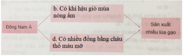 Lịch Sử và Địa Lí lớp 5 Phiếu kiểm tra 3 | Hay nhất Giải Lịch Sử và Địa Lí lớp 5 VNEN