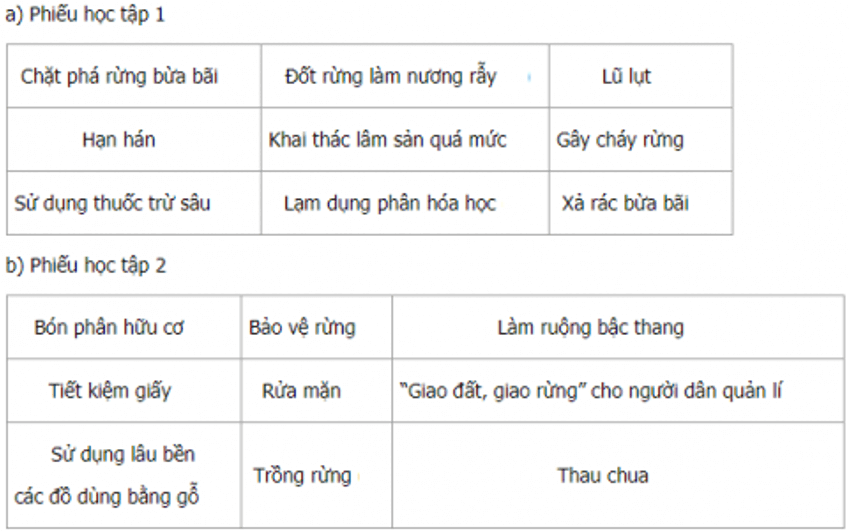 Lịch Sử và Địa Lí lớp 5 Bài 4: Đất và rừng | Hay nhất Giải Lịch Sử và Địa Lí lớp 5 VNEN