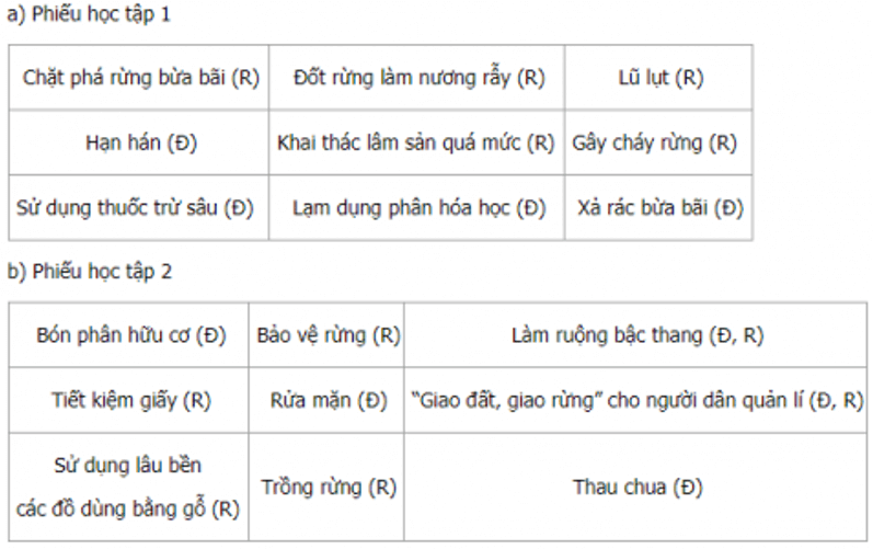 Lịch Sử và Địa Lí lớp 5 Bài 4: Đất và rừng | Hay nhất Giải Lịch Sử và Địa Lí lớp 5 VNEN