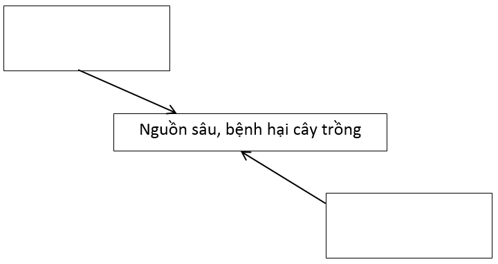 Bài 1 trang 17 SBT Công nghệ 10 | Giải sách bài tập Công nghệ 10 hay nhất tại VietJack
