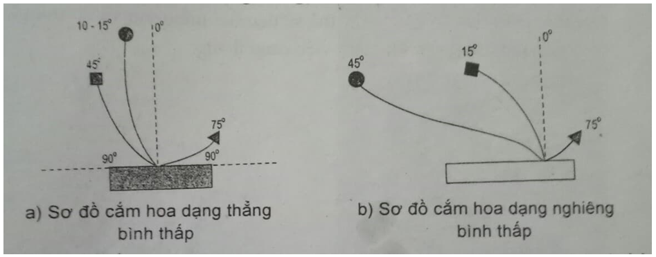 Bài 13.11 trang 32 SBT Công nghệ 6 | Giải sách bài tập Công nghệ 6 hay nhất tại VietJack