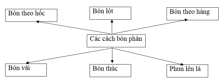  Bài 2 trang 16 SBT Công nghệ 7 | Giải sách bài tập Công nghệ lớp 7