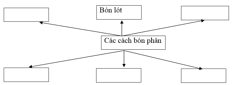  Bài 2 trang 16 SBT Công nghệ 7 | Giải sách bài tập Công nghệ lớp 7