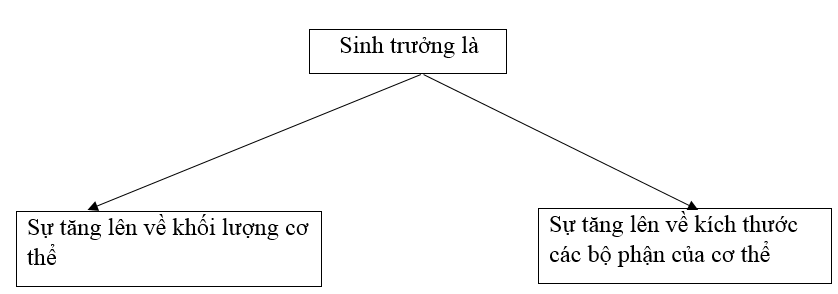  Bài 2 trang 47 SBT Công nghệ 7 | Giải sách bài tập Công nghệ lớp 7