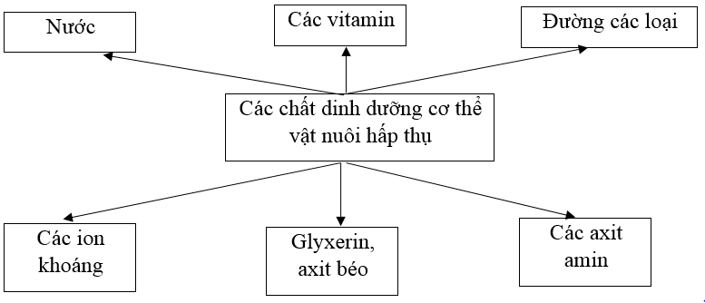  Bài 2 trang 51 SBT Công nghệ 7 | Giải sách bài tập Công nghệ lớp 7