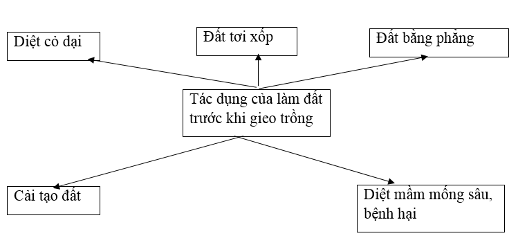  Bài 3 trang 25 SBT Công nghệ 7 | Giải sách bài tập Công nghệ lớp 7