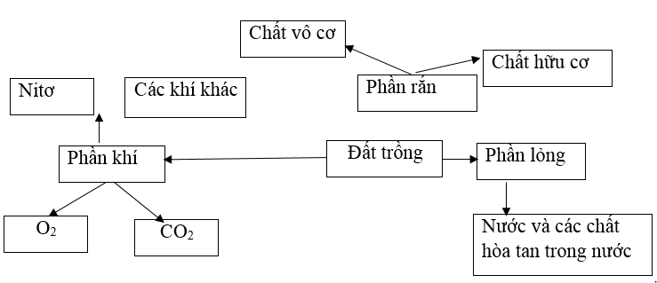  Bài 3 trang 8 SBT Công nghệ 7 | Giải sách bài tập Công nghệ lớp 7