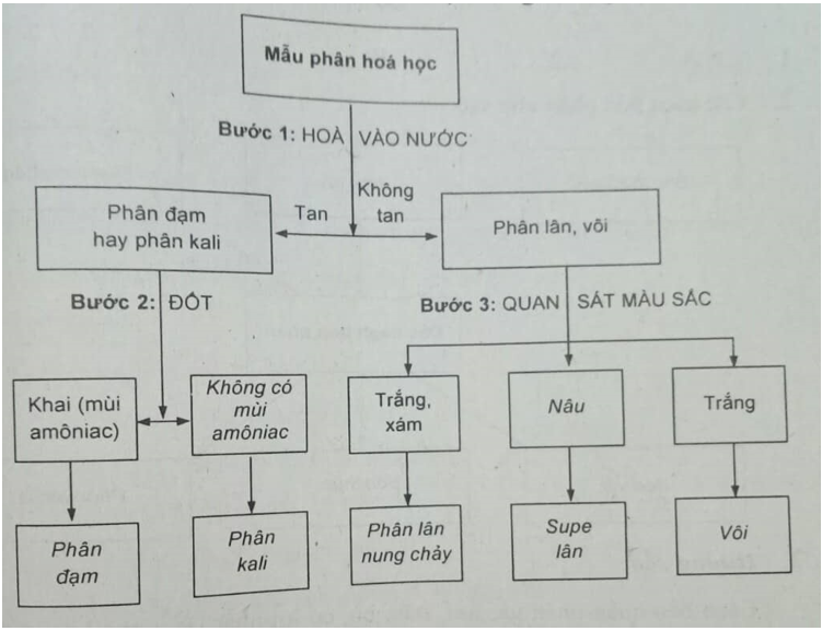  Bài 4 trang 15 SBT Công nghệ 7 | Giải sách bài tập Công nghệ lớp 7