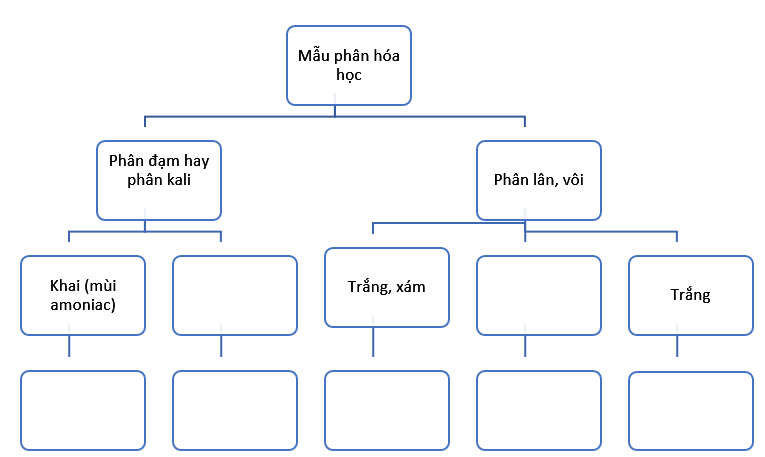  Bài 4 trang 15 SBT Công nghệ 7 | Giải sách bài tập Công nghệ lớp 7