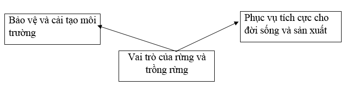  Bài 4 trang 33 SBT Công nghệ 7 | Giải sách bài tập Công nghệ lớp 7