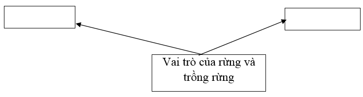  Bài 4 trang 33 SBT Công nghệ 7 | Giải sách bài tập Công nghệ lớp 7