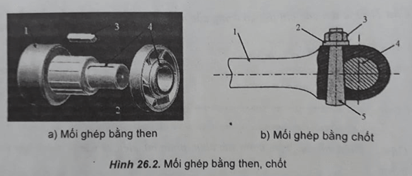 Bài 26.4 trang 53 SBT Công nghệ 8 | Giải sách bài tập Công nghệ 8 hay nhất tại VietJack