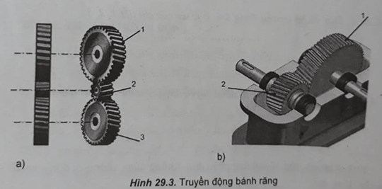 Bài 29.5 trang 58 SBT Công nghệ 8 | Giải sách bài tập Công nghệ 8 hay nhất tại VietJack