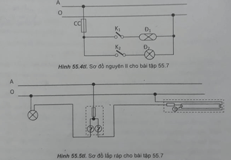 Bài 55.7 trang 97 SBT Công nghệ 8 | Giải sách bài tập Công nghệ 8 hay nhất tại VietJack