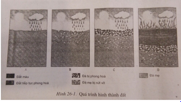 Giải sách bài tập Địa Lí 6 | Giải sbt Địa Lí 6