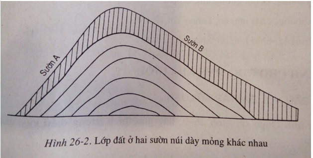 Giải sách bài tập Địa Lí 6 | Giải sbt Địa Lí 6