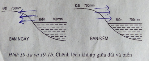 Giải sách bài tập Địa Lí 6 | Giải sbt Địa Lí 6