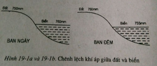 Giải sách bài tập Địa Lí 6 | Giải sbt Địa Lí 6
