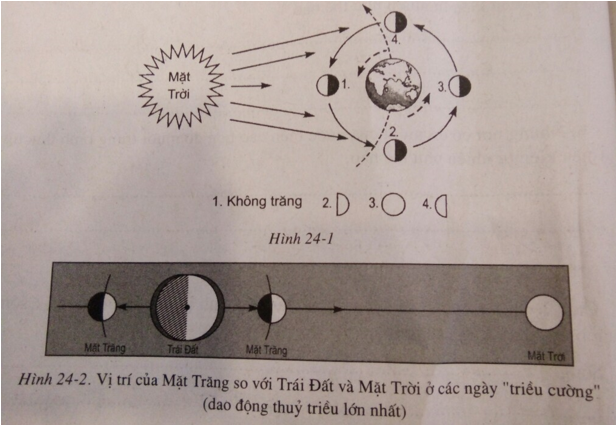 Giải sách bài tập Địa Lí 6 | Giải sbt Địa Lí 6