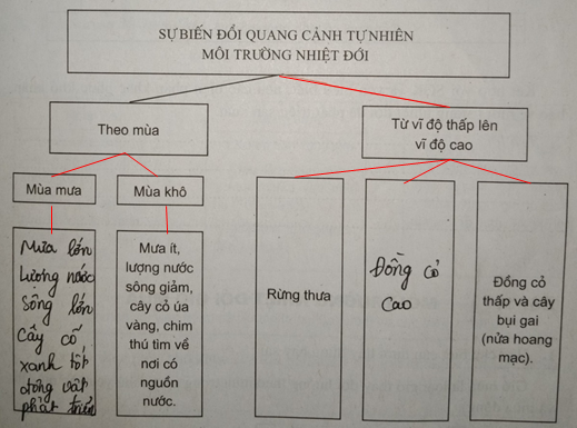 Giải sách bài tập Địa Lí 7 | Giải sbt Địa Lí 7