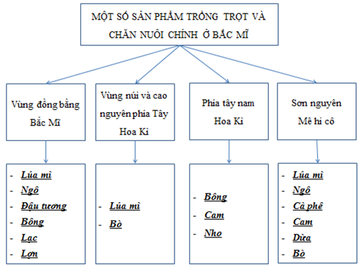 Giải sách bài tập Địa Lí 7 | Giải sbt Địa Lí 7