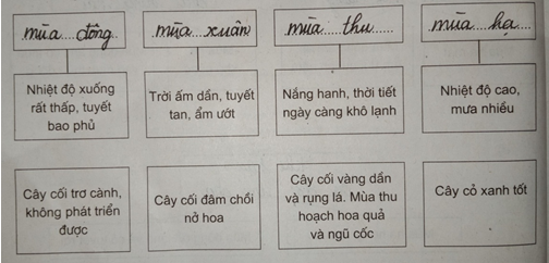 Giải sách bài tập Địa Lí 7 | Giải sbt Địa Lí 7