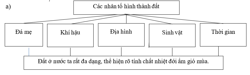 Giải sách bài tập Địa Lí 8 | Giải sbt Địa Lí 8