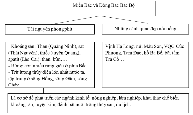 Giải sách bài tập Địa Lí 8 | Giải sbt Địa Lí 8