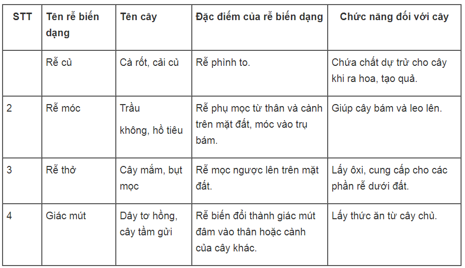 Bài tập có lời giải trang 19, 20 SBT Sinh học 6 | Giải sách bài tập Sinh học 6 hay nhất tại VietJack