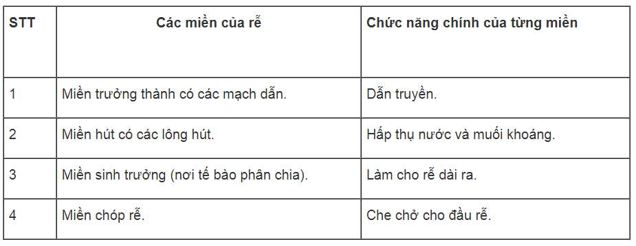 Bài tập tự luận trang 21 SBT Sinh học 6 | Giải sách bài tập Sinh học 6 hay nhất tại VietJack