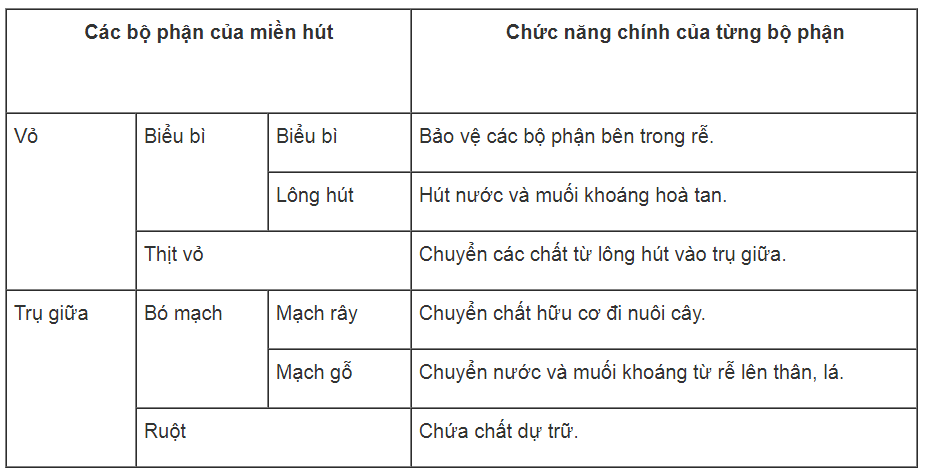 Bài tập có lời giải trang 19, 20 SBT Sinh học 6 | Giải sách bài tập Sinh học 6 hay nhất tại VietJack