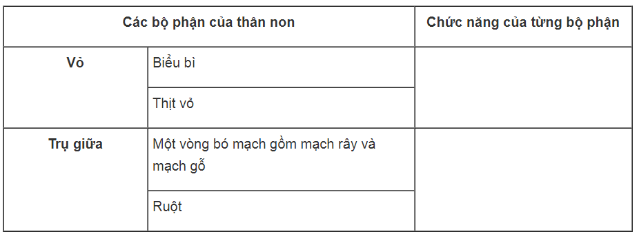 Bài tập tự luận trang 29, 30 SBT Sinh học 6 | Giải sách bài tập Sinh học 6 hay nhất tại VietJack