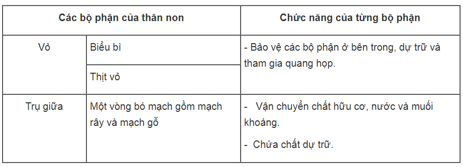 Bài tập tự luận trang 29, 30 SBT Sinh học 6 | Giải sách bài tập Sinh học 6 hay nhất tại VietJack