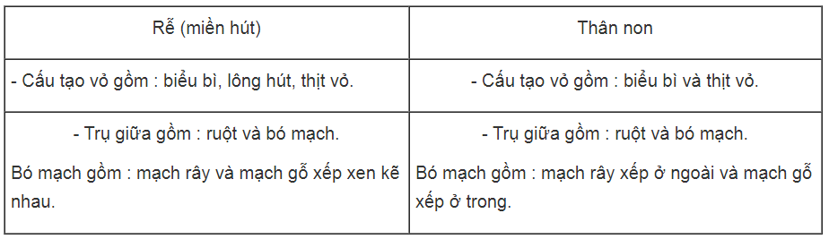 Bài tập có lời giải trang 27, 28, 29 SBT Sinh học 6 | Giải sách bài tập Sinh học 6 hay nhất tại VietJack