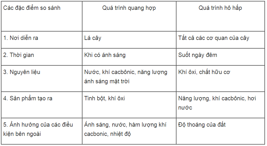 Bài tập có lời giải trang 35, 36, 37, 38 SBT Sinh học 6 | Giải sách bài tập Sinh học 6 hay nhất tại VietJack