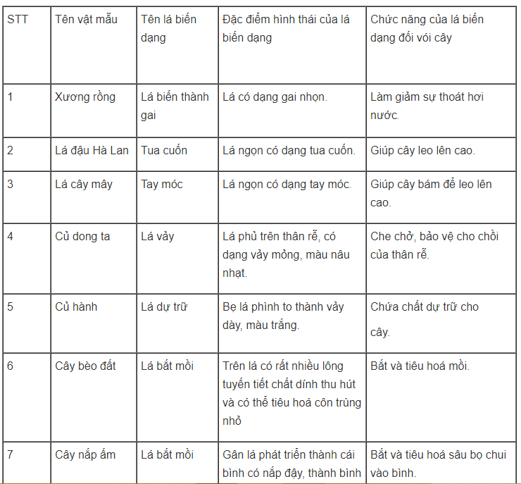 Bài tập có lời giải trang 35, 36, 37, 38 SBT Sinh học 6 | Giải sách bài tập Sinh học 6 hay nhất tại VietJack