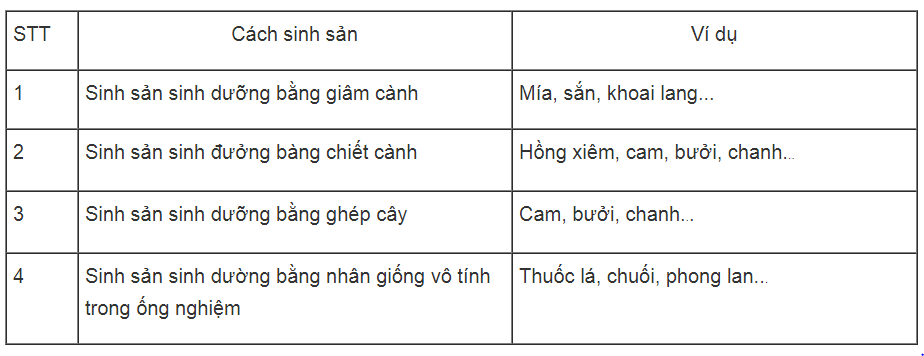 Bài tập có lời giải trang 45, 46 SBT Sinh học 6 | Giải sách bài tập Sinh học 6 hay nhất tại VietJack