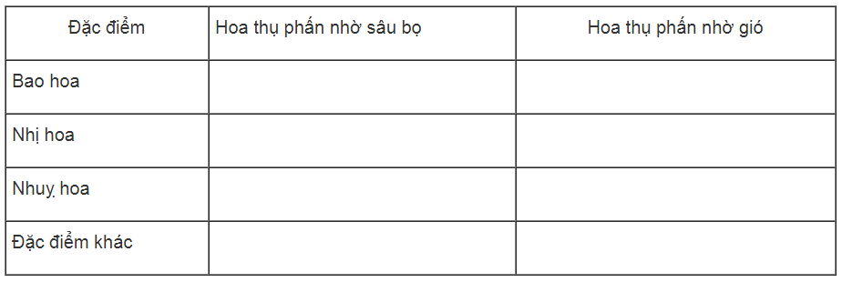 Bài tập tự luận trang 52 SBT Sinh học 6 | Giải sách bài tập Sinh học 6 hay nhất tại VietJack